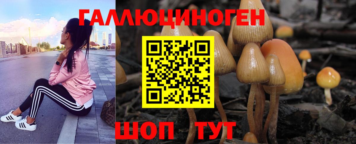Галлюциногенные грибы мицелий Абакан