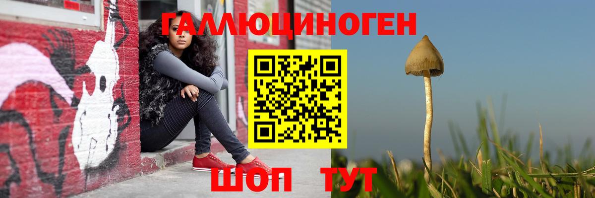 Абакан  Галлюциногенные грибы Magic Shrooms  Галлюциногенные грибы Cubensis  Вход с VPN 